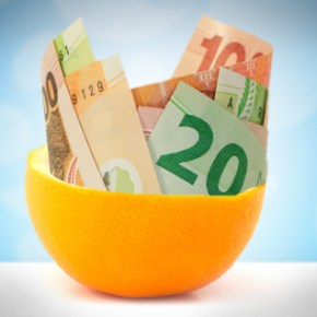 Improve your ROI with a customised&nbsp;solution